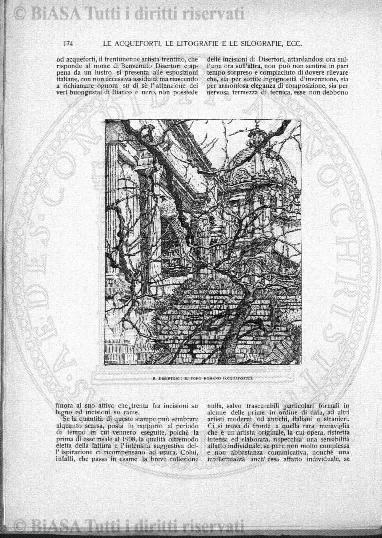 v. 10, n. 28 (1843-1844) - Pagina: 217