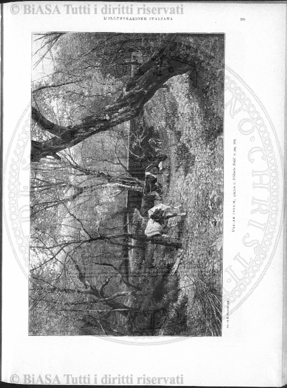 v. 3, n. 36 (1838-1839) - Pagina: 281