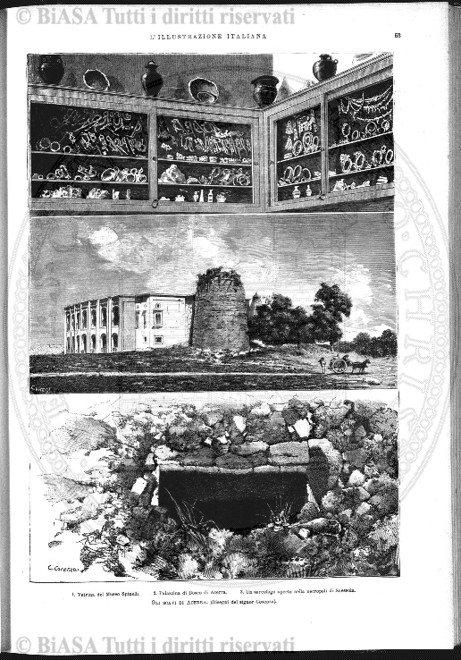 v. 3, n. 1 (1869) - Frontespizio