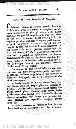 n. 6 (1932) - Copertina: 1