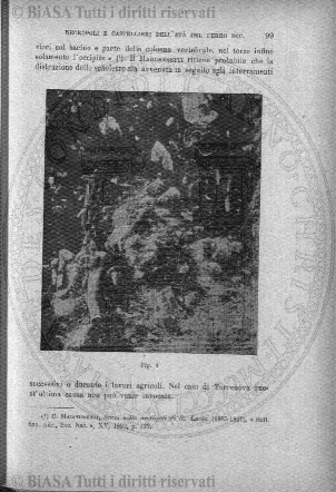 n.s., n. 8 (1896) - Occhietto