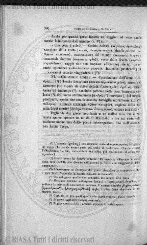 n. 3 (1916) - Copertina: 1