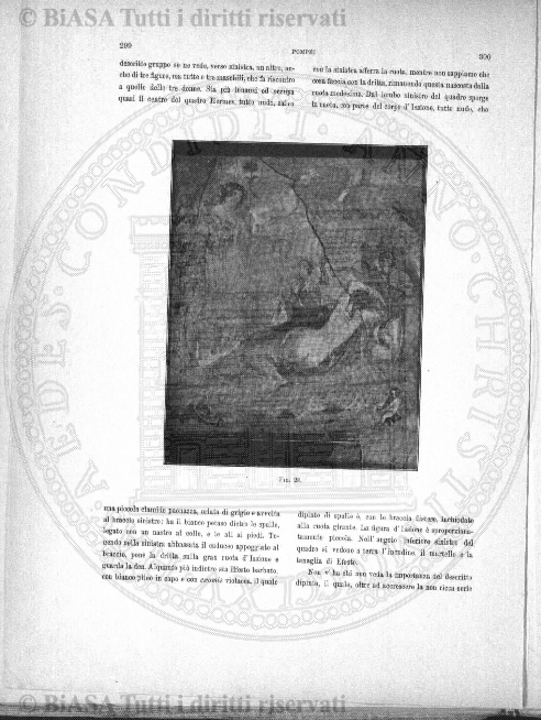 s. 3, v. 8 (1882-1883) - Frontespizio