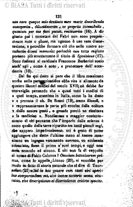 n. 11, supplemento (1914) - Pagina: 81