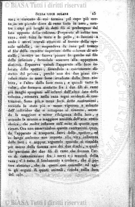 1891 (1891) - Occhietto