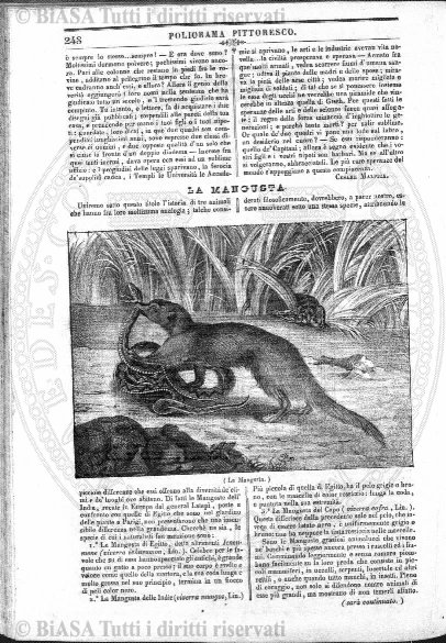 n. 47 (1883) - Frontespizio