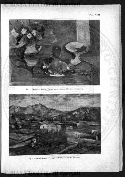 n. 74 (1846-1847) - Pagina: 25