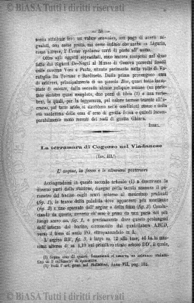 n. 48 (1885) - Frontespizio