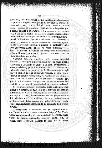 1895 (1895) - Occhietto