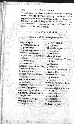 v. 8, n. 5 (1841-1842) - Pagina: 33
