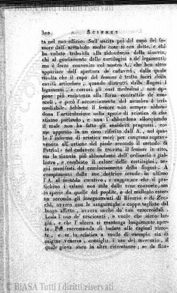 n. 3 (1863) - Pagina: 17