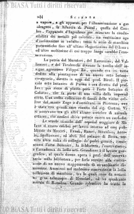 n. 4 (1864) - Pagina: 25