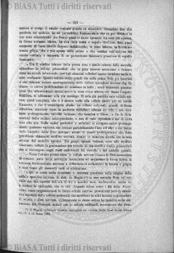 v. 21, n. 24 (1854-1855) - Pagina: 185