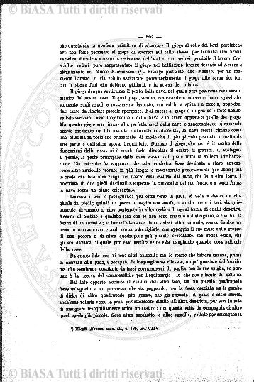 n. 7-9 (1935) - Copertina: 1