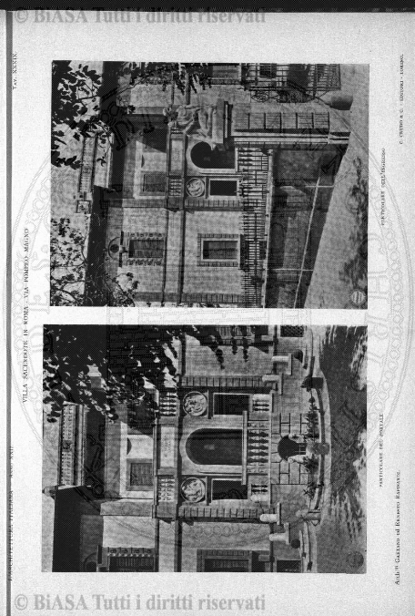 v. 27, n. 30 (1860-1861) - Pagina: 233