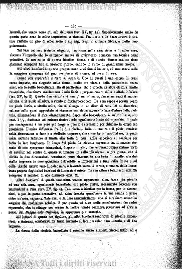 n. 14 (1932) - Pagina: 1