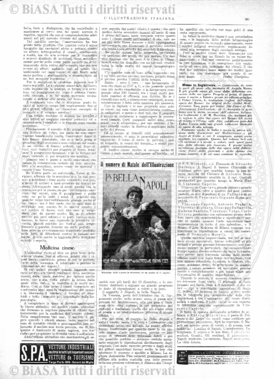 v. 14, n. 33 (1847-1848) - Pagina: 261