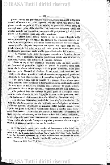 n. 4 (1888) - Pagina: 25 e sommario