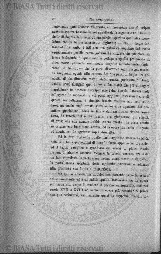 v. 106 (1846) - Frontespizio