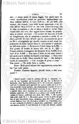 v. 1, n. 24 (1834-1835) - Pagina: 185