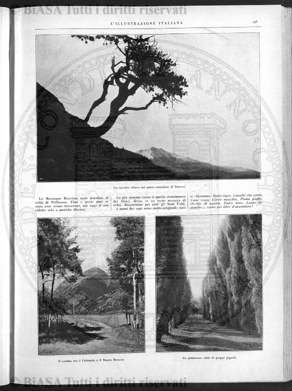 n. 12 (1907) - Pagina: 93