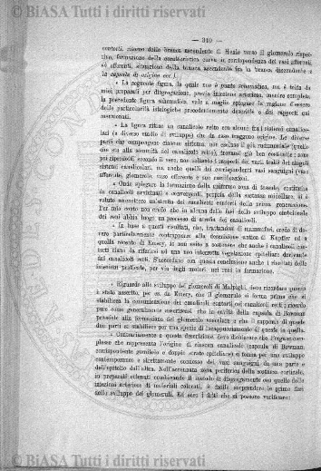 n. 33 (1914) - Copertina: 1