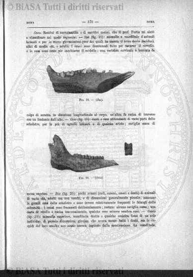 v. 26, n. 153 (1907) - Pagina: 164