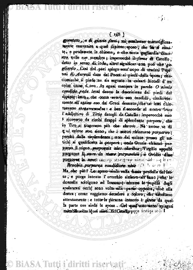 n. 6 (1904) - Pagina: 221