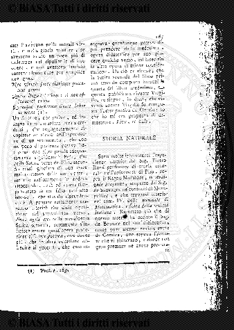 n. 22 (1886) - Pagina: 161 e sommario