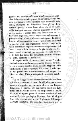 n. 7 (1941) - Copertina: 1