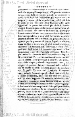 n. 2 (1919) - Copertina: 1