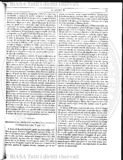 n. 8-9 (1863) - Pagina: 129