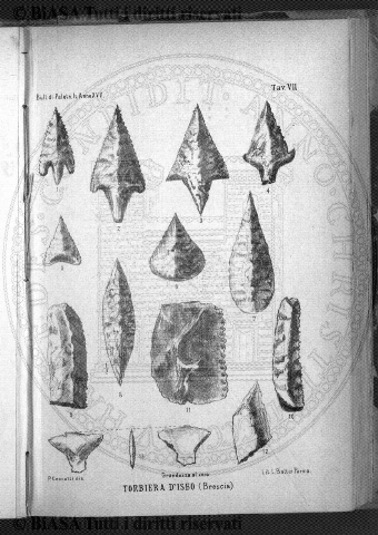 n. 10 (1907) - Pagina: 77