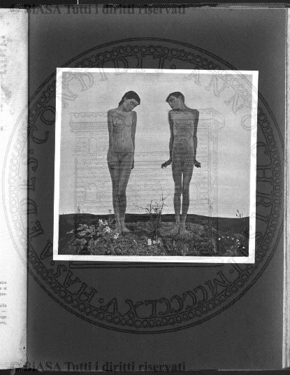 s. 3, n. 2 (1893) - Pagina: 17