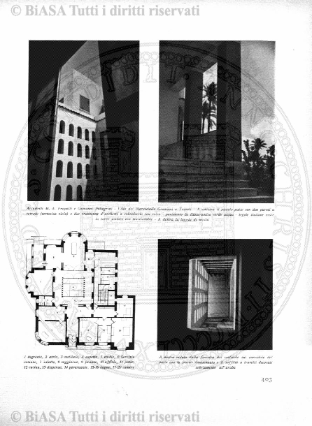 n. 37 (1835) - Pagina: 145