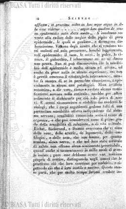 n. 7 (1885) - Pagina: 13