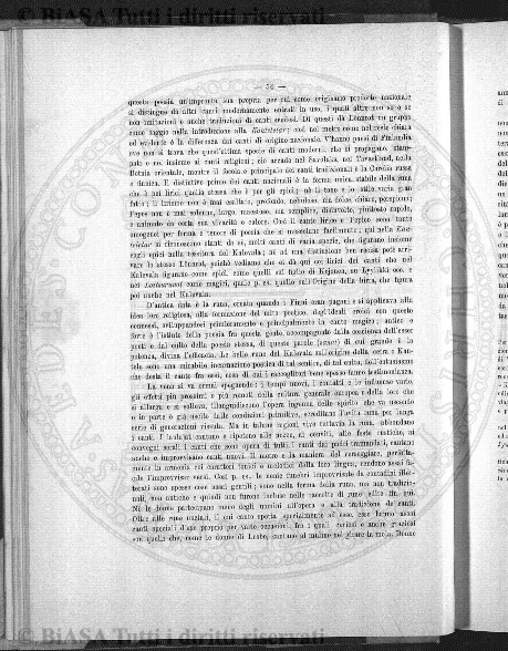 n. 18 (1906) - Frontespizio
