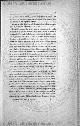 s. 3, n. 1 (1894) - Copertina: 1