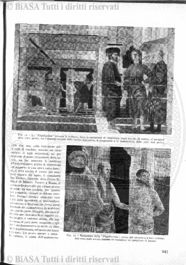 s. 2, v. 10, n. 5 (1875) - Pagina: 141