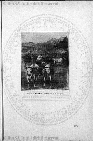 s. 2, n. 8 (1892-1893) - Pagina: 169