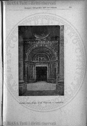 s. 3, n. 20 (1902) - Pagina: 141 e sommario