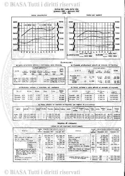 s. 3, v. 7, n. 12 (1882-1883) - Copertina: 1