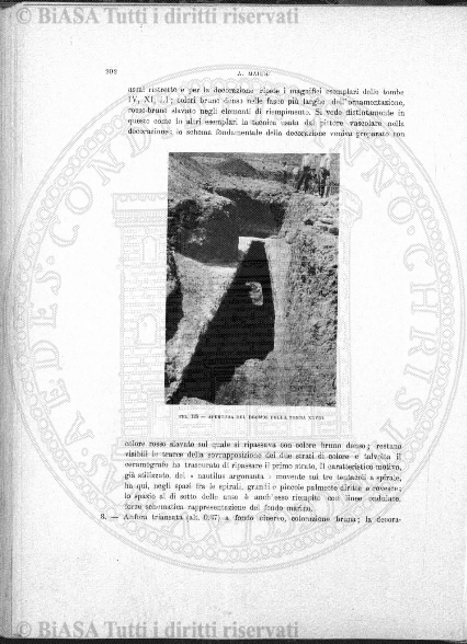 s. 3, v. 8, n. 4-6 (1902) - Pagina: 59