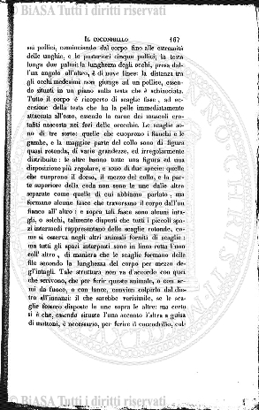 n. 37 (1916) - Frontespizio