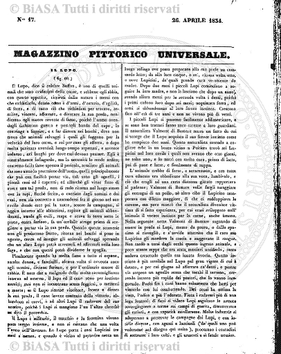 v. 7, n. 7 (1898) - Pagina: 97