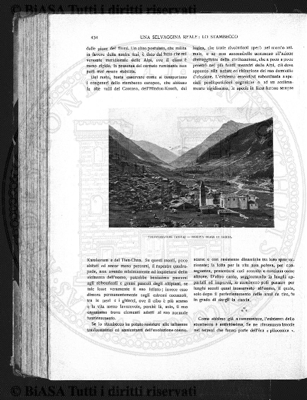 n. 4 (1873) - Pagina: 49