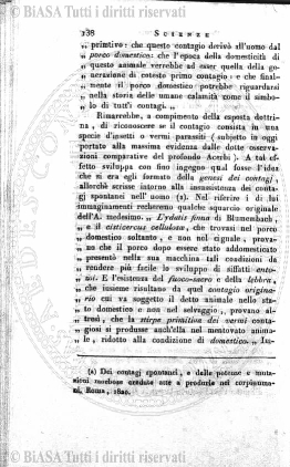 n. 8 (1929) - Pagina: 1