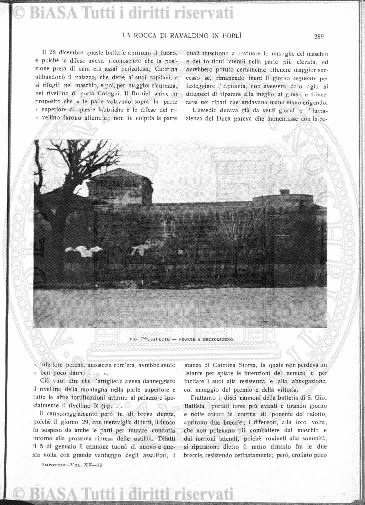 n. 12 (1907-1908) - Pagina: 49