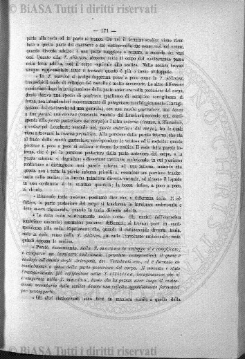 s. 6, v. 2, n. 1-2 (1926) - Copertina: 1