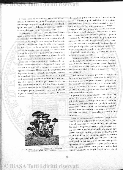 v. 21 (1824) - Frontespizio